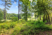 15 Brandon Pines Ct Pittsboro, NC 27312