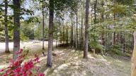 135 Altavista Ct Clayton, NC 27520