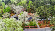 619 Sunset Dr Sanford, NC 27330
