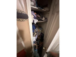 9 Sweetbay Ct Durham, NC 27704