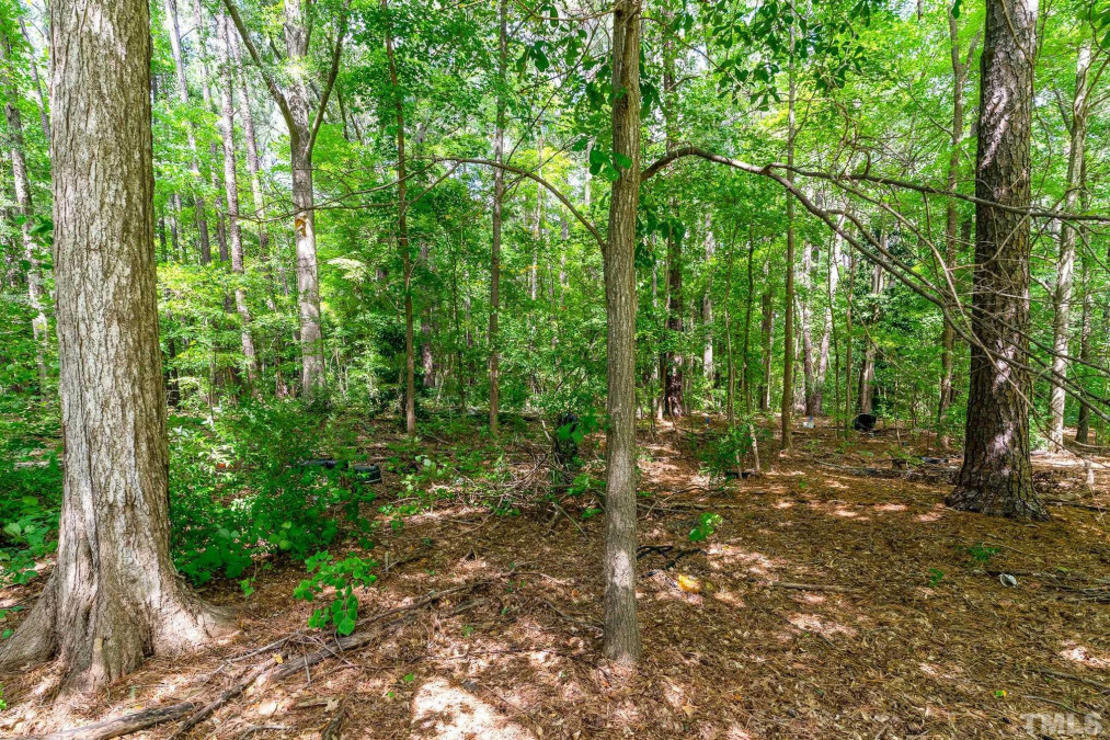 1409 Lenoir St Raleigh, NC 27610