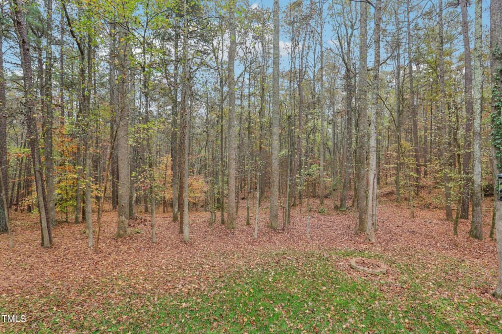 5018 Silver Fox Ln Efland, NC 27243