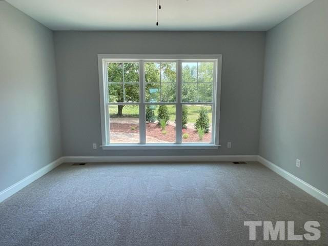 115 Old Garden Ln Youngsville, NC 27596