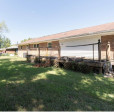 2559 Willie Pace Rd Burlington, NC 27217