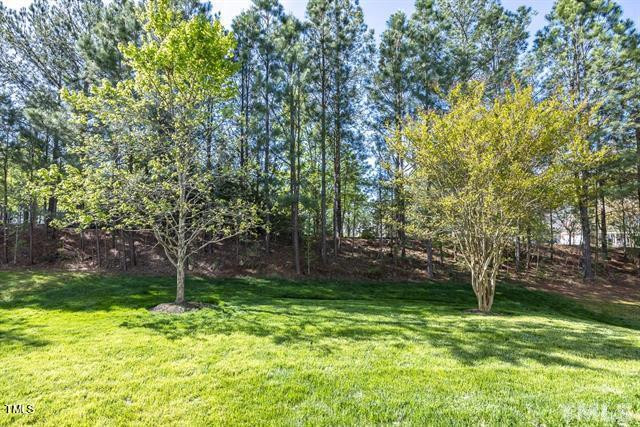 404 Euphoria Cir Cary, NC 27519