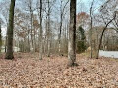 6237 Nc 96 Hwy Youngsville, NC 27596