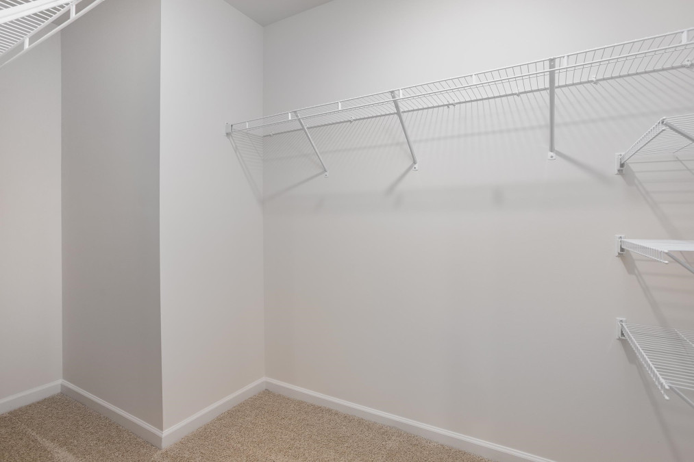 134 Olive History Way Clayton, NC 27520