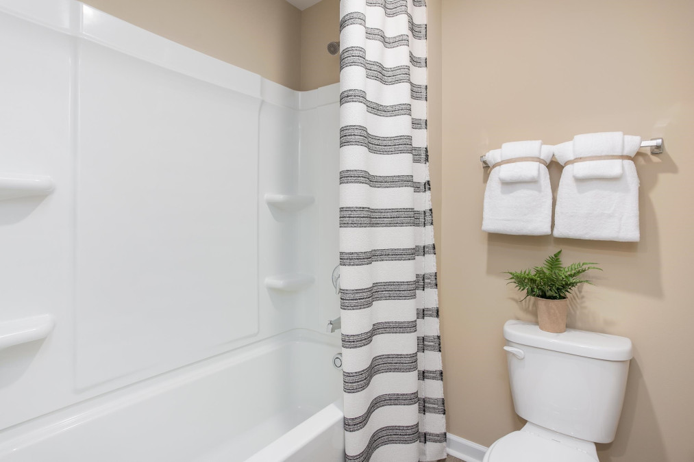 134 Olive History Way Clayton, NC 27520
