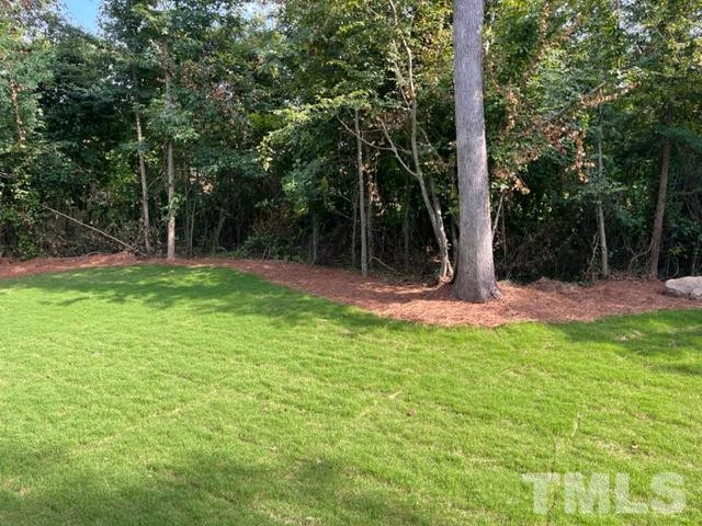 59 Cannalily Ln Clayton, NC 27520