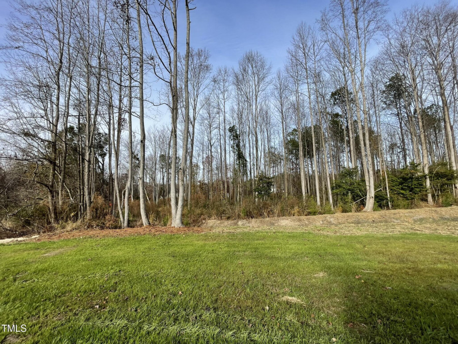 234 Starry Sky Dr Benson, NC 27504