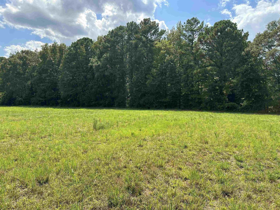 1043 Mudham Rd Wendell, NC 27591