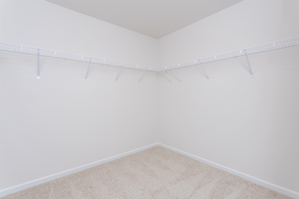119 Olive History Way Clayton, NC 27520