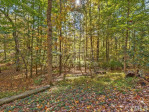 1308 Brookfield Dr Chapel Hill, NC 27516
