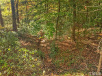 1308 Brookfield Dr Chapel Hill, NC 27516