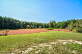 6654 Richardson Rd Spring Hope, NC 27882