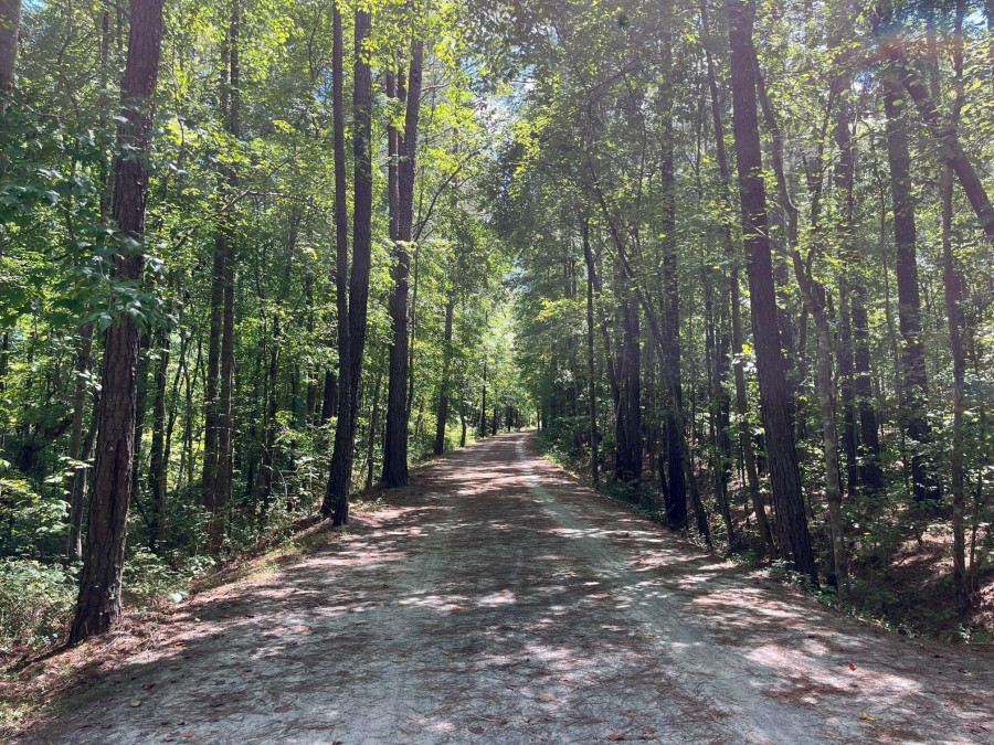 1258 Barn Cat Way Apex, NC 27502