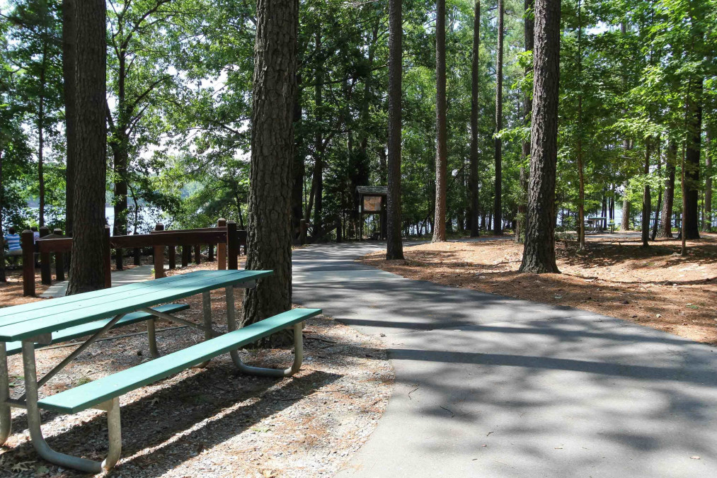 108 Calvander Ln Apex, NC 27539