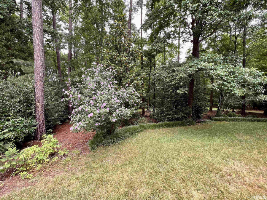 106 Spring Needle Ct Cary, NC 27513