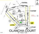 3321 Olancha Ct New Hill, NC 27562