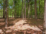 418 Old Buggy Trl Hillsborough, NC 27278