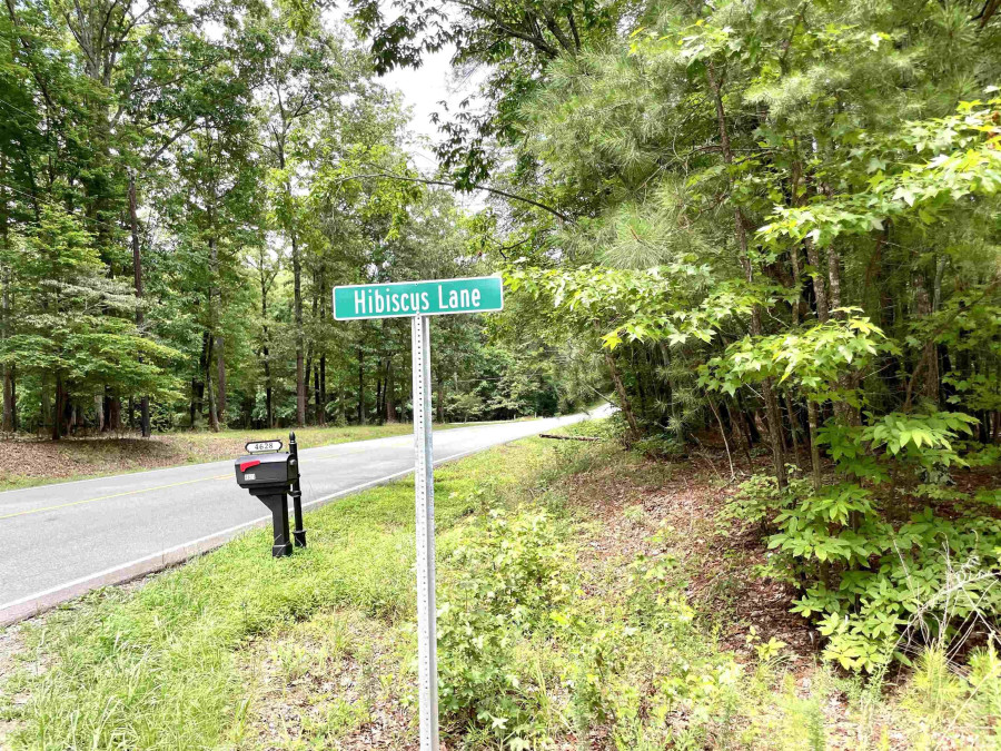 4628 Hibiscus Ln Chapel Hill, NC 27516