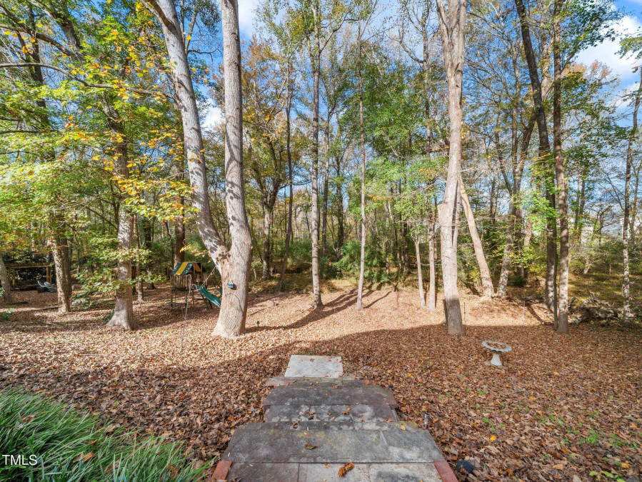 904 Hidden Jewel Ln Wake Forest, NC 27587