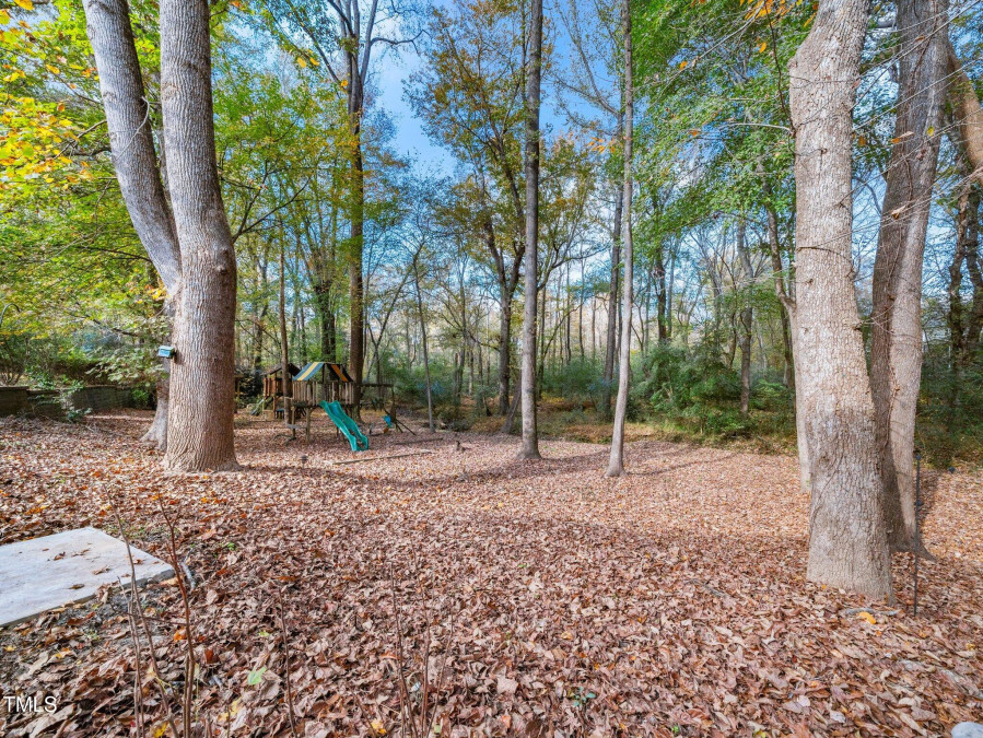 904 Hidden Jewel Ln Wake Forest, NC 27587