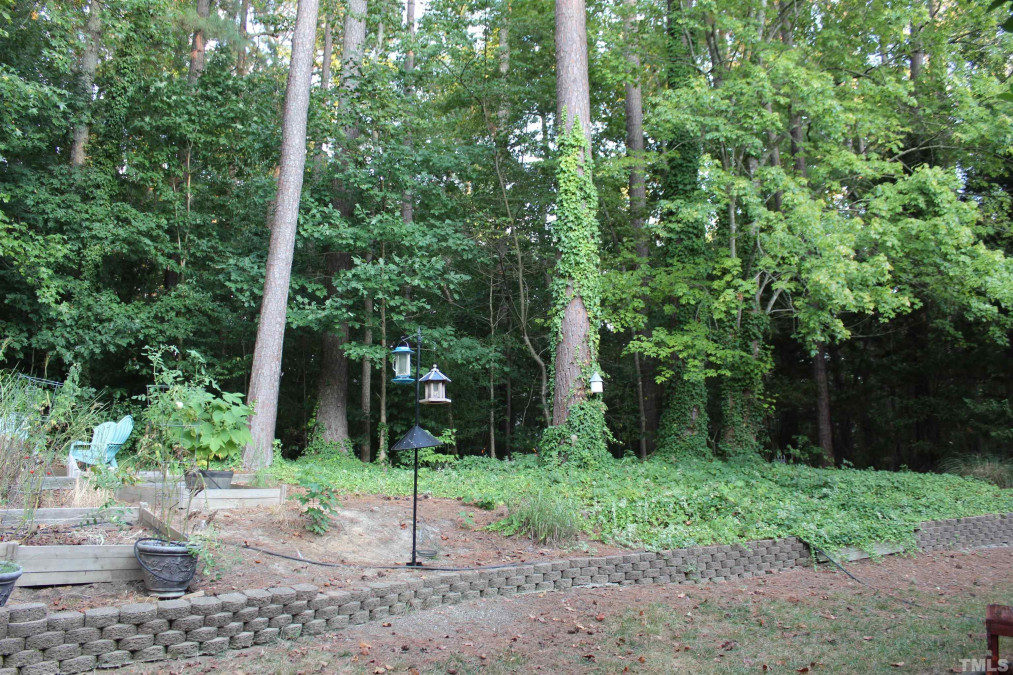 206 Briardale Ave Cary, NC 27519