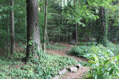 206 Briardale Ave Cary, NC 27519