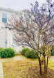 242 Liam St Clayton, NC 27520