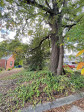 1304 - 1302 Jones St Raleigh, NC 27610