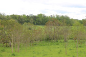 171 Dairymont Dr Pittsboro, NC 27312