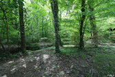 327 Glendale Dr Chapel Hill, NC 27514