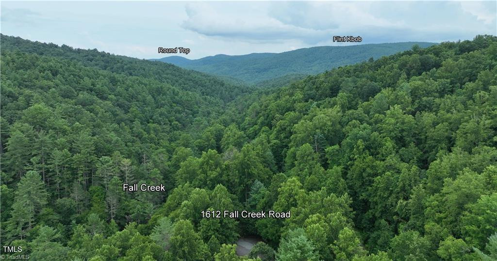 1612 Fall Creek Road Rd Purlear, NC 28665