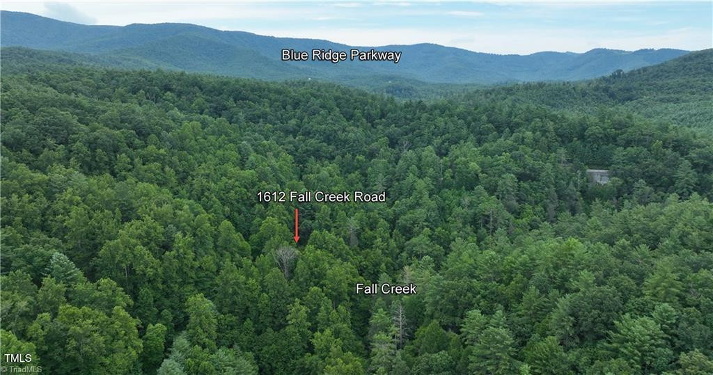 1612 Fall Creek Road Rd Purlear, NC 28665