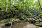 1612 Fall Creek Road Rd Purlear, NC 28665