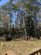 295 Byrdtown Rd Benson, NC 27504