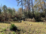 295 Byrdtown Rd Benson, NC 27504