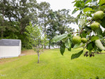 63 Halter Ct Angier, NC 27501