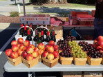 710 Birstall Dr Cary, NC 27519
