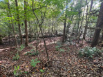 240 Georgetown Woods Youngsville, NC 27596