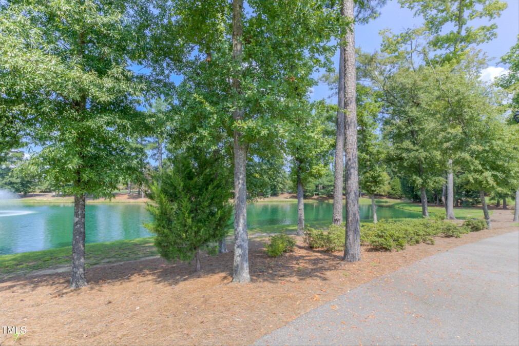 1629 Cypress Cove Dr Wendell, NC 27591