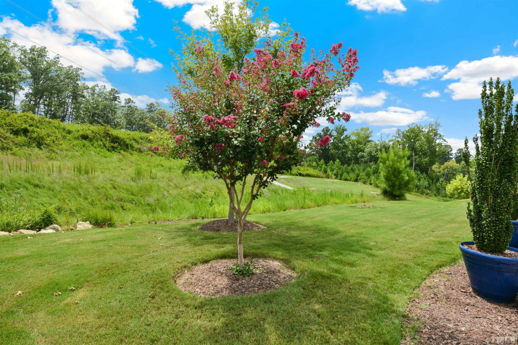 187 Abercorn Cir Chapel Hill, NC 27516