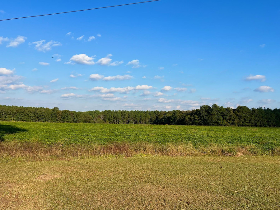 6625 Brack Penny Rd, Raleigh, NC 27603 Raleigh Realty