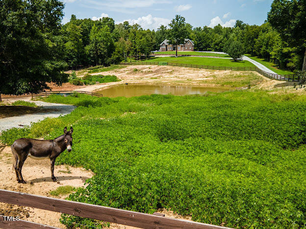 3704 Hesters Store Rd Hurdle Mills, NC 27541