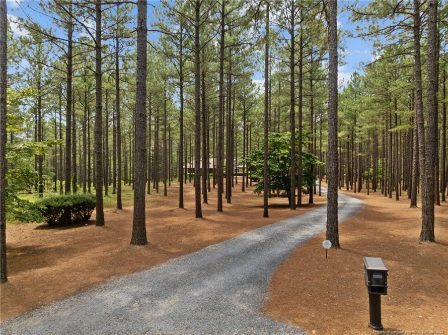 225 Windswept Vi Jackson Springs, NC 27281