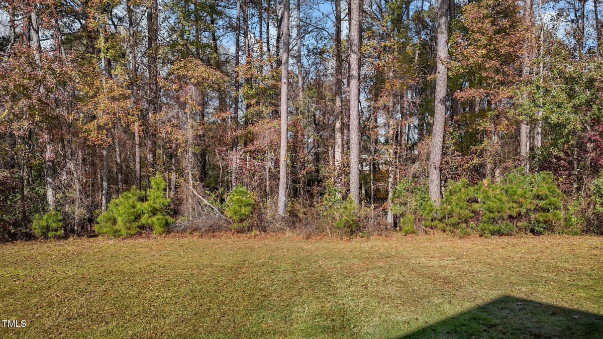 136 Saddle Ln Lillington, NC 27546