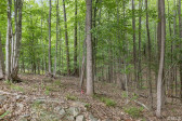 209 Harbor Fog Trl Holly Springs, NC 27540