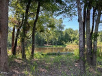 245 Barhams Mill Pond Way Wendell, NC 27591