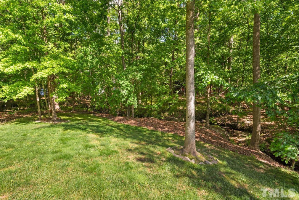 109 New Bingham Ct Cary, NC 27513